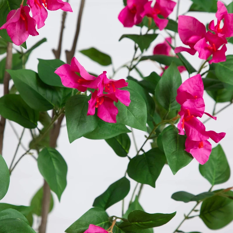 8ft. Potted Pink Minimalist Bougainvillea Tree
