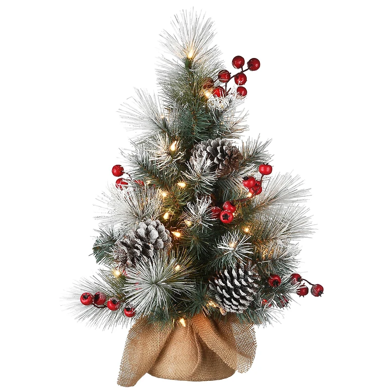 2ft. Pre-Lit Snowy Glacier Pine Artificial Christmas Tree, Warm White LED Lights