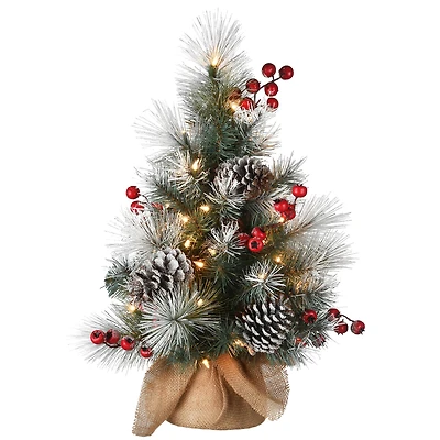 2ft. Pre-Lit Snowy Glacier Pine Artificial Christmas Tree, Warm White LED Lights