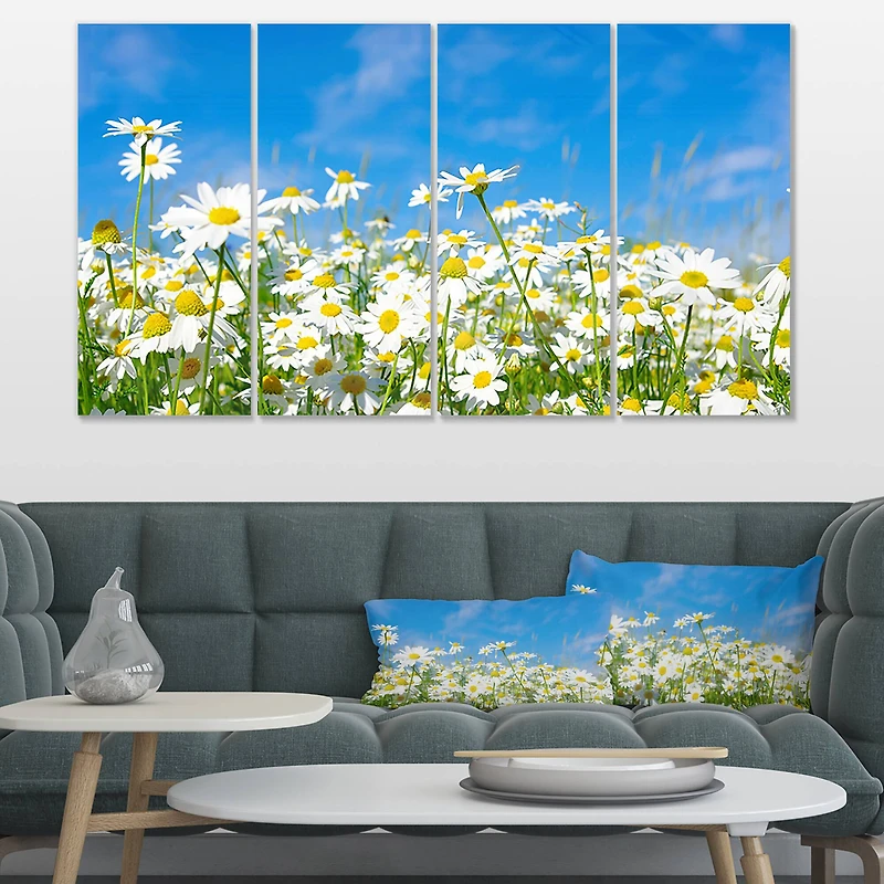 Designart - White Daisies under Bright Blue Sky