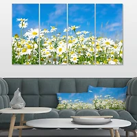 Designart - White Daisies under Bright Blue Sky