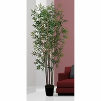 6ft. Potted Mini Bamboo Silk Tree