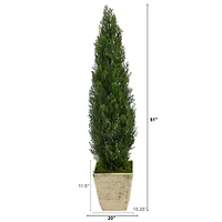4.5ft. Cedar Artificial Tree in Country White Planter (Indoor/Outdoor)