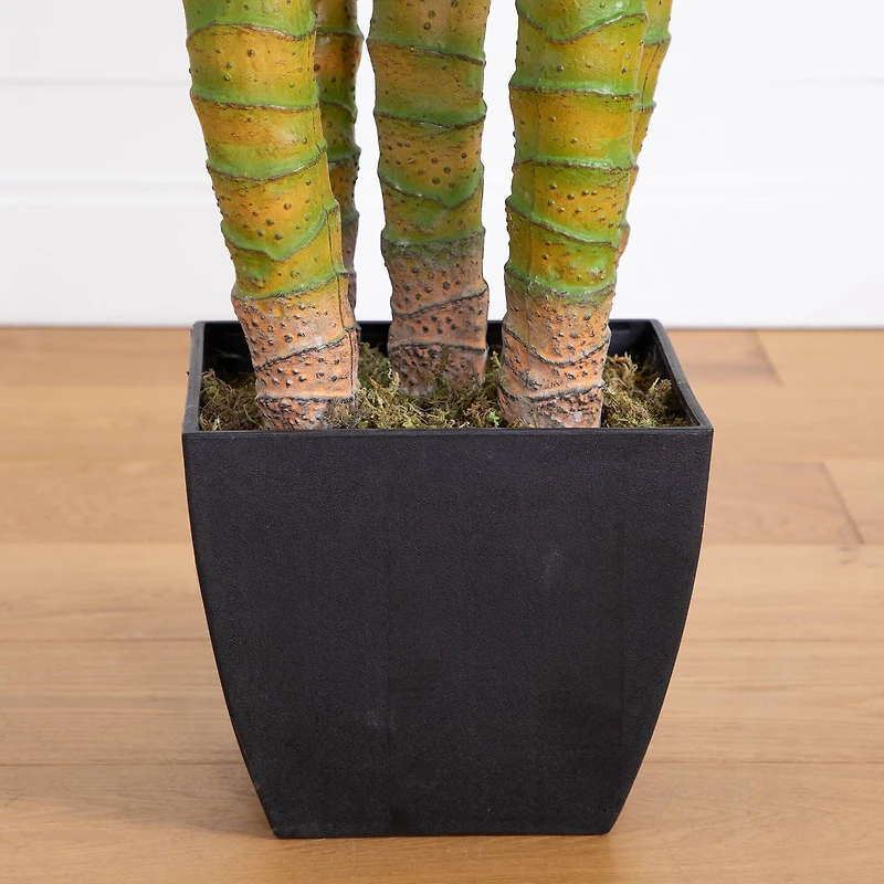 9.5ft. Potted Giant 5 Stalk Areca Palm Tree