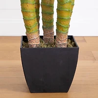 9.5ft. Potted Giant 5 Stalk Areca Palm Tree