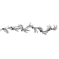 6ft. Orange LED Lighted Branch String Lights with Spiders by Ashland®