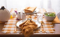 DII® Pumpkin Spice Heavyweight Check Fringed Placemat Set