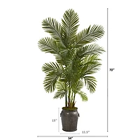 6ft. Areca Palm Tree in Metal Planter