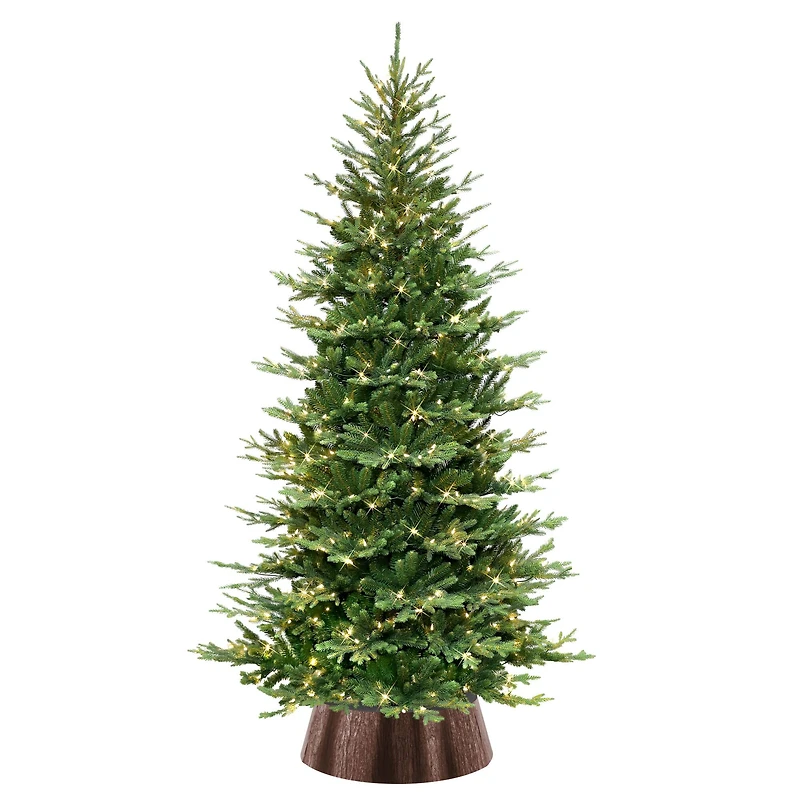 7.5ft. Pre-Lit Chatham Spruce Slim Artificial Christmas Tree, Clear Lights