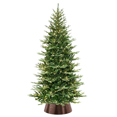 7.5ft. Pre-Lit Chatham Spruce Slim Artificial Christmas Tree, Clear Lights