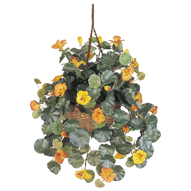 22" Golden Nasturtium Hanging Basket