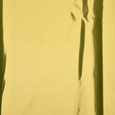 Gold Foil Tissue Celebrate It™