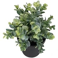 10" Green Chinaberry Plant in Black Pot
