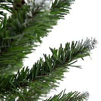 24" Unlit Frosted Norway Pine with Pinecones Medium Artificial Christmas Tree