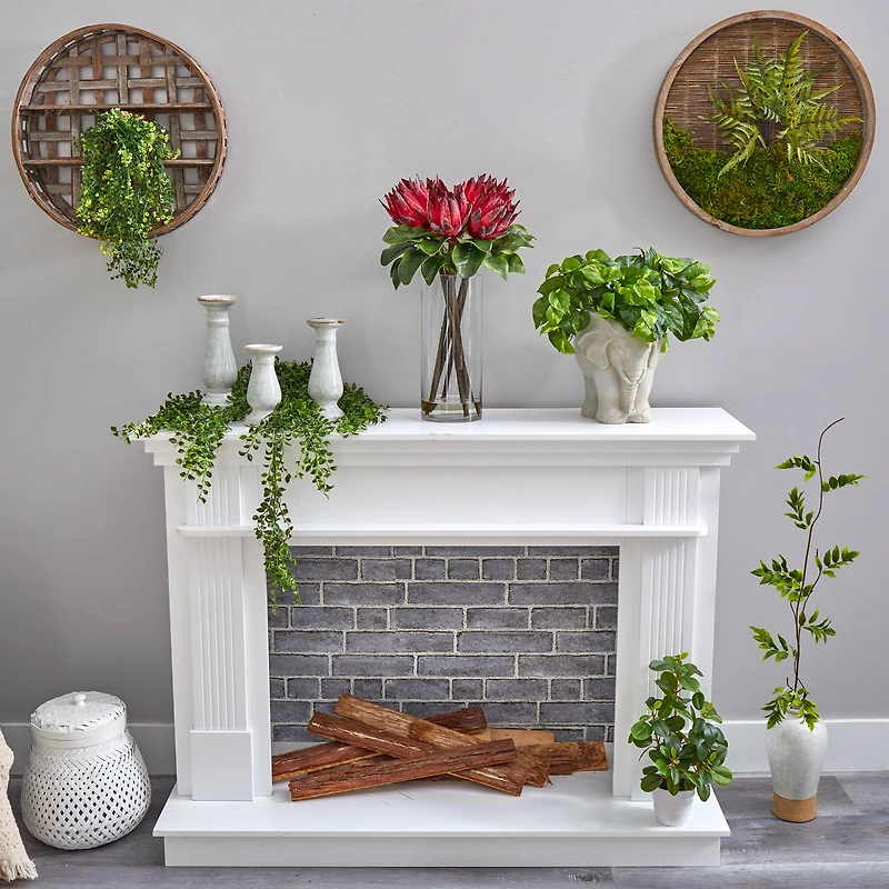22" King Protea Floral Arrangement in Glass Vase