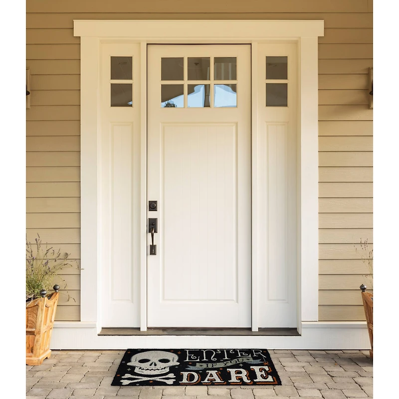 DII® Enter If You Dare Doormat