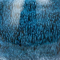 Hello Honey® 16oz. Brown & Blue Round Stoneware Mug Set, 2ct.