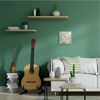 Stupell Industries Soft White Yellow Delicate Flower Petals Wall Plaque