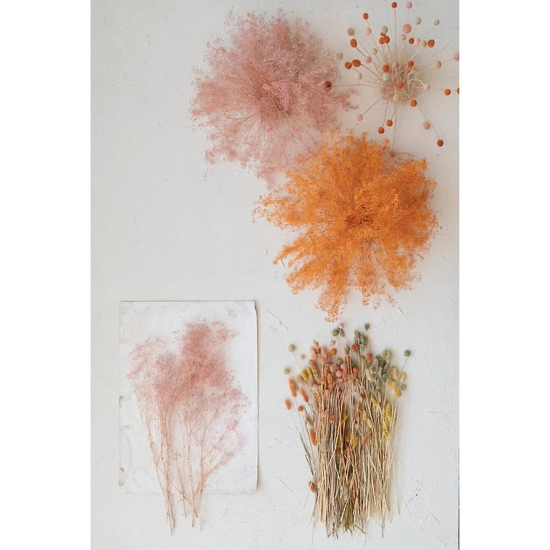 Hello Honey® 19.5" Dried Natural Bunny Tail Grass Bunch, 3ct.