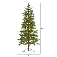 6.5ft. Pre-Lit Fairbanks Fir Artificial Christmas Tree, Clear LED Lights