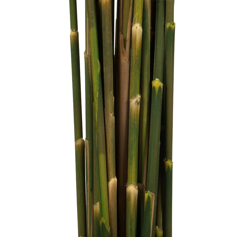 Plume Reed Preserved Bundle