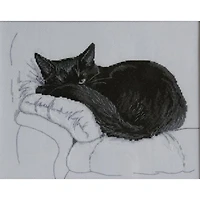 RTO Among Black Cats M668 Cross Stitch Kit