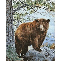 Wizardi Brown Bear Diamond Painting Kit