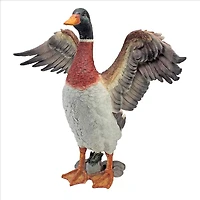 Design Toscano 17.5" Proud Mallard Duck Statue