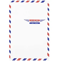 JAM Paper 6" x 9" White Open End Catalog Airmail Envelopes