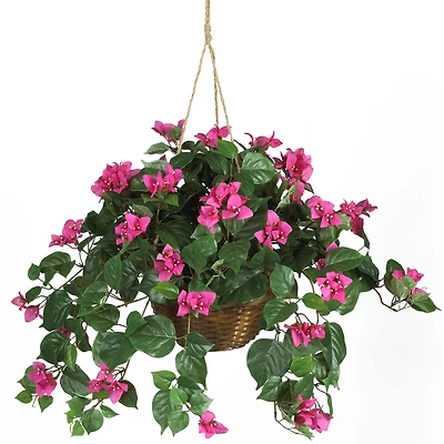 24" Pink Bougainvillea Hanging Basket
