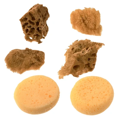 Royal & Langnickel® Natural & Synthetic Artist Sponges