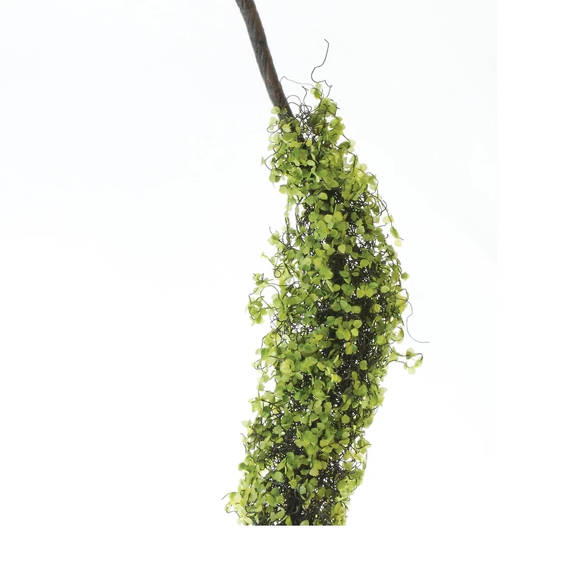 40" Moss Foliage Vine Branches, 2ct.