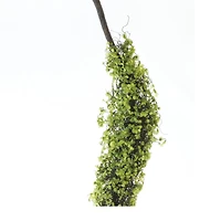 40" Moss Foliage Vine Branches, 2ct.