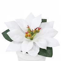 2.5" Premade White Velvet Poinsettia in White Terracotta Pot by Ashland®