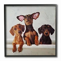 Stupell Industries Dachshunds in the Tub Wall Art in Black Frame