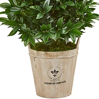3.5ft. UV Resistant Bay Leaf Cone Topiary Tree in Farmhouse Planter