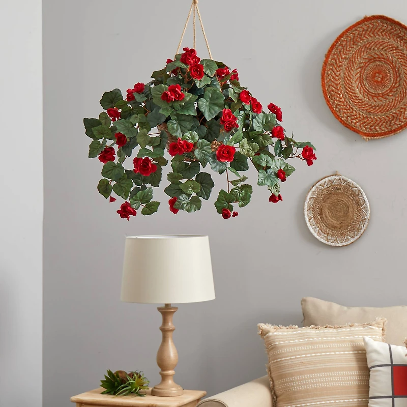24" Red Begonia in Hanging Basket
