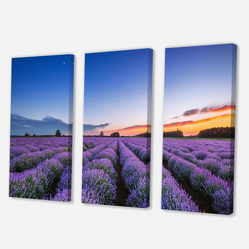 Designart - Sunrise & Dramatic Clouds Over Lavender Field I