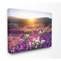 Stupell Industries Dune Wildflowers at Sunset Canvas Wall Art
