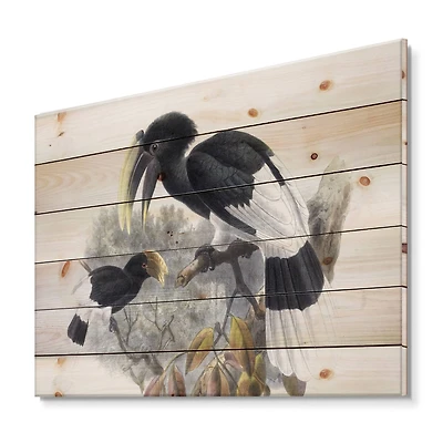 Designart - Vintage Bird Illustration I