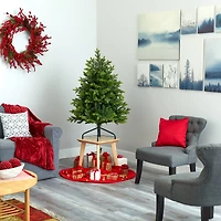 4ft. Pre-Lit North Carolina Fir Artificial Christmas Tree, Clear LED Lights