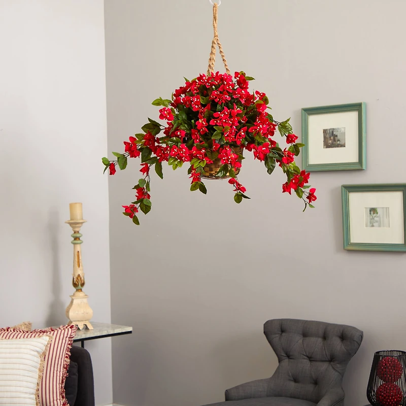 2.5ft. Bougainvillea Hanging Basket