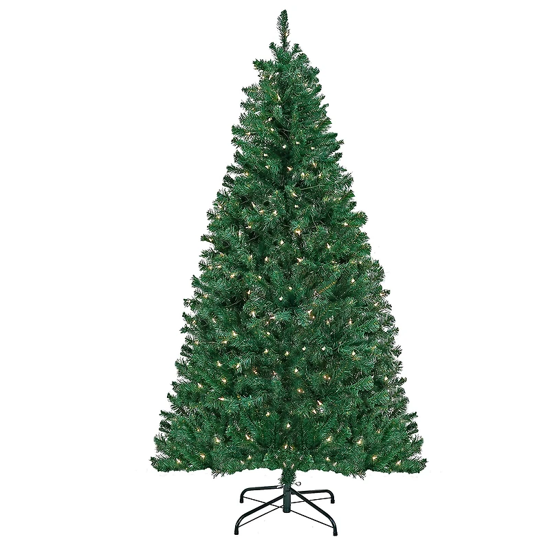 6ft. Pre-Lit Acacia Artificial Christmas Tree, Clear Lights