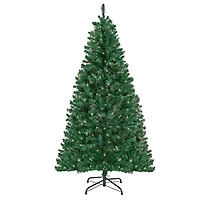 6ft. Pre-Lit Acacia Artificial Christmas Tree, Clear Lights