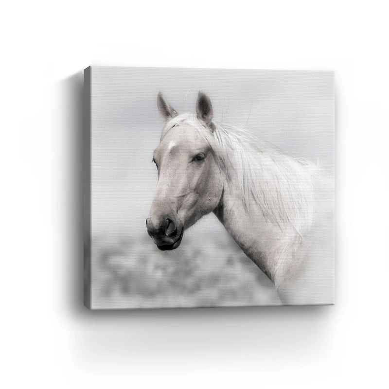 Wild and Free Canvas Giclee