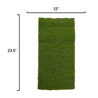12" x 23.5" Faux Moss Mat by Ashland®