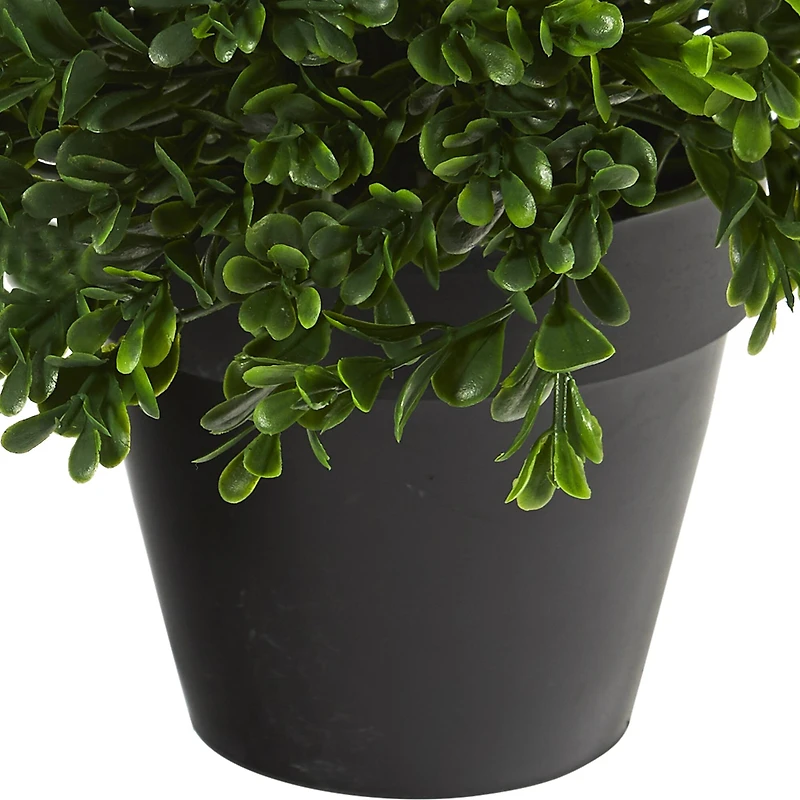 10” Potted Boxwood Topiary Plant