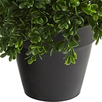 10” Potted Boxwood Topiary Plant