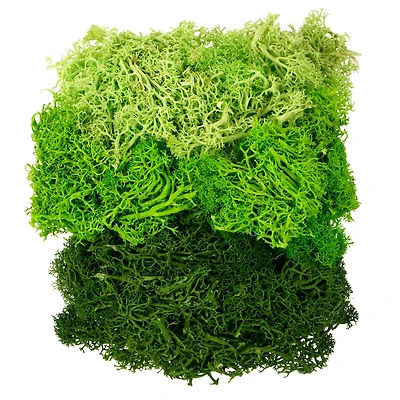 1.75oz. Green Moss Mix by Ashland®