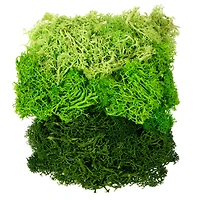 1.75oz. Green Moss Mix by Ashland®